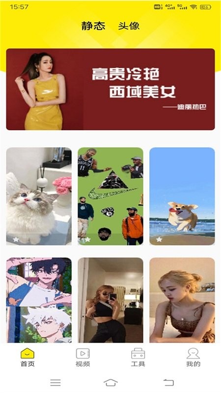 白狐视频壁纸app