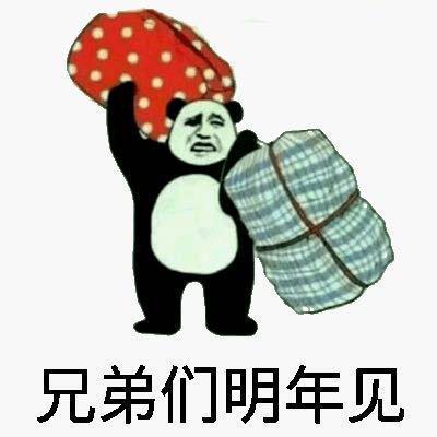 大包小包回家过年表情包