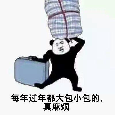 大包小包回家过年表情包