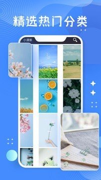 托卡世界壁纸app