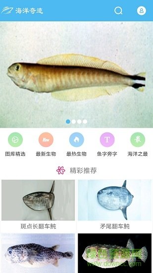 海洋奇迹