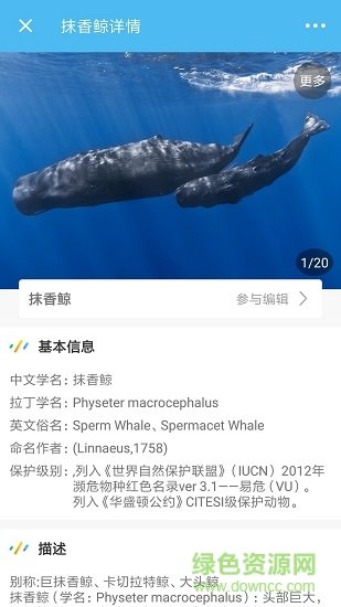 海洋奇迹