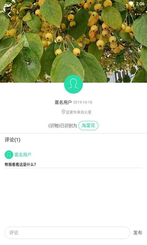 掌上植物网