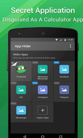 应用隐藏大师