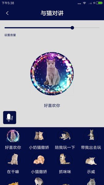 人猫人狗对讲机