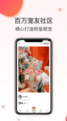 相宠app